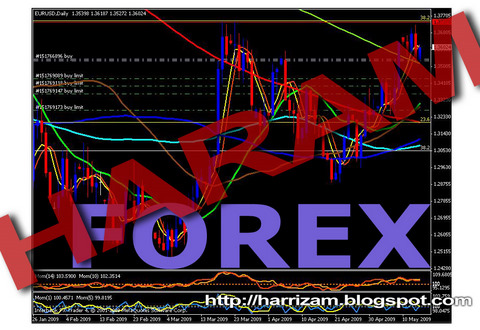 forex exchange the star